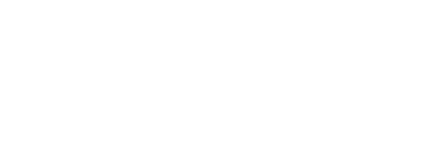 Nwt Logo Ljus (2)