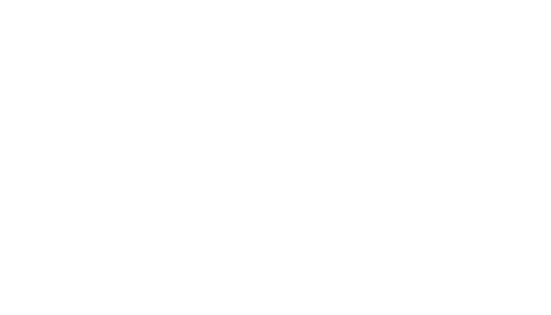Nwt Logo Ljus