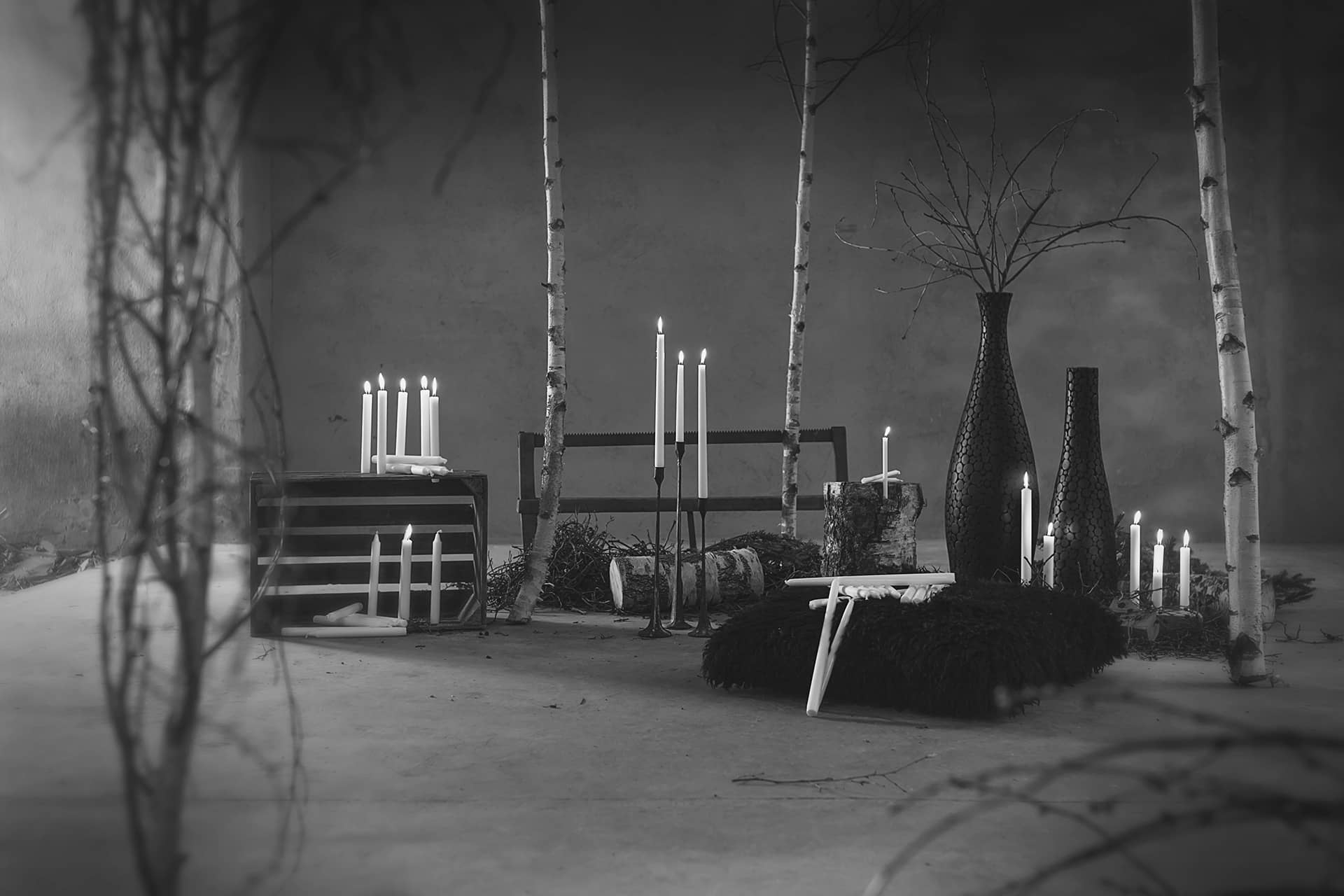 Forest 8234 Bw